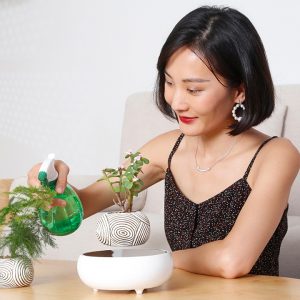 Tanaman Bonsai Bisa Melayang di Udara